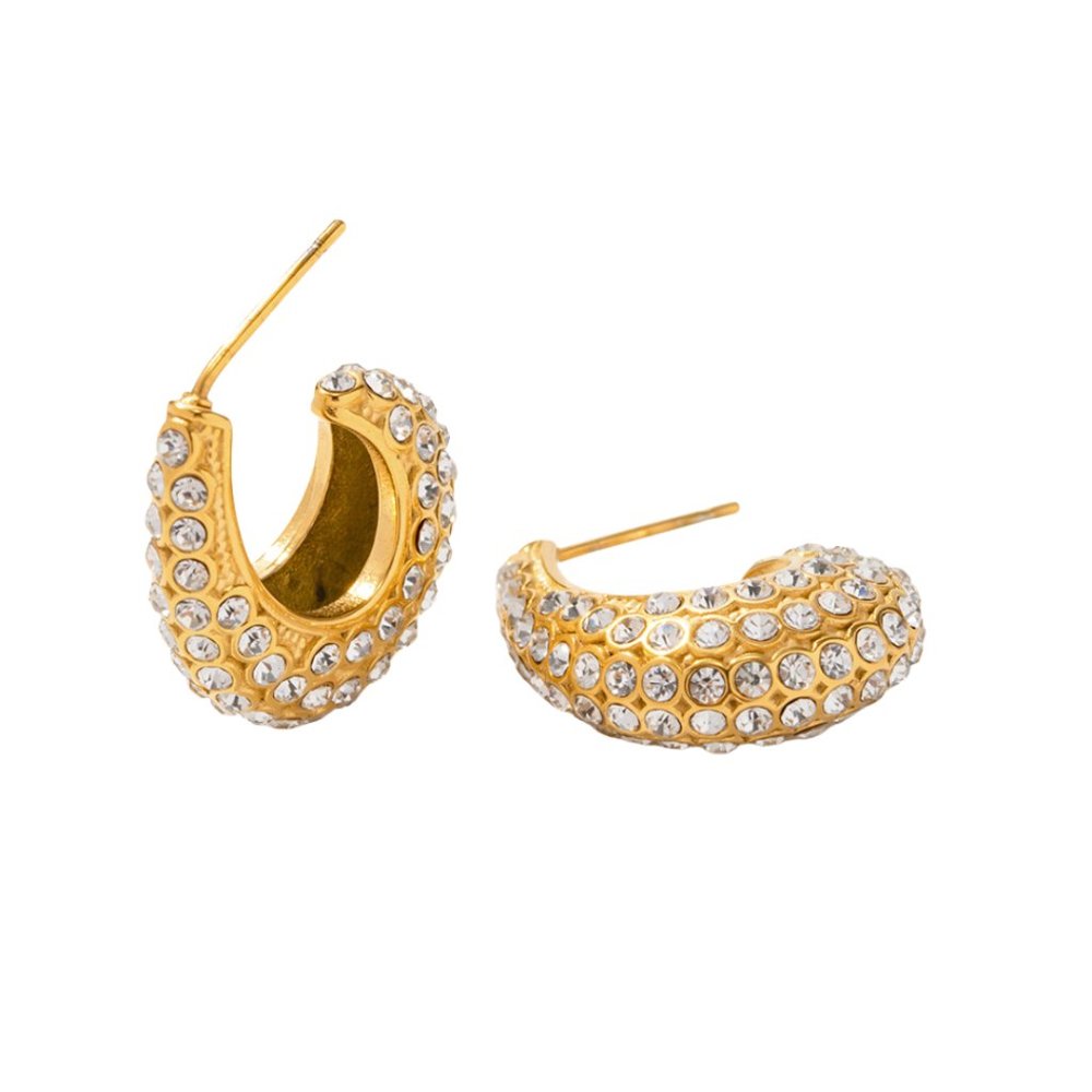Stainless Steel Zircon Ear Studs